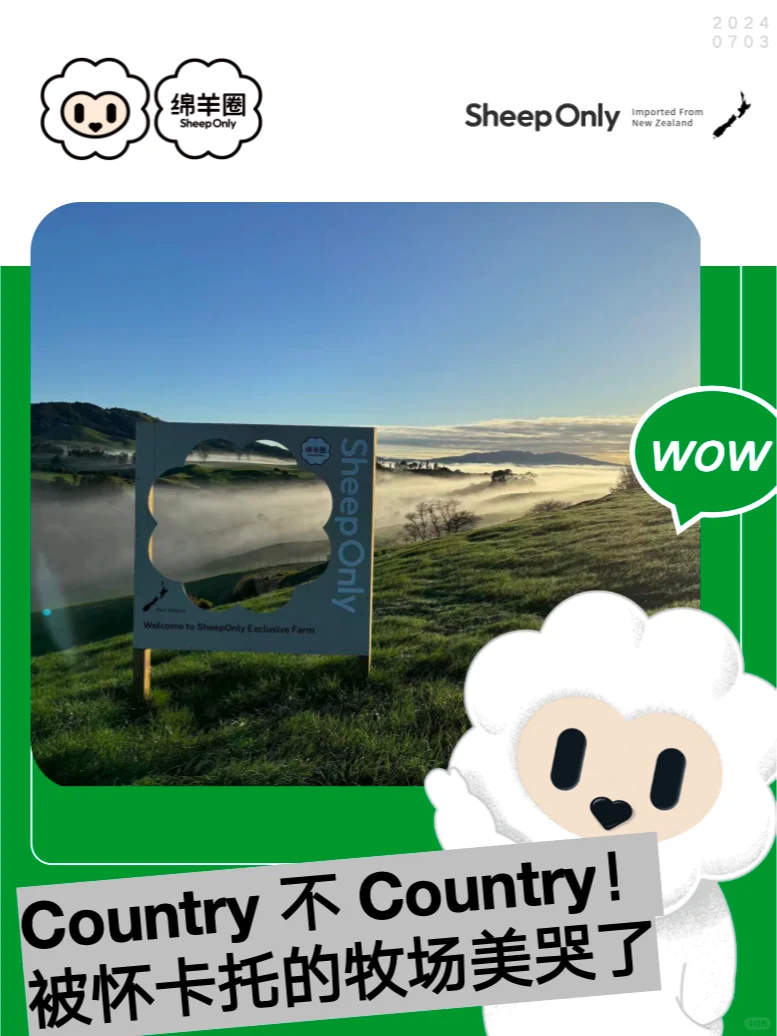 怀卡托地区的绵羊们,实在太country了!