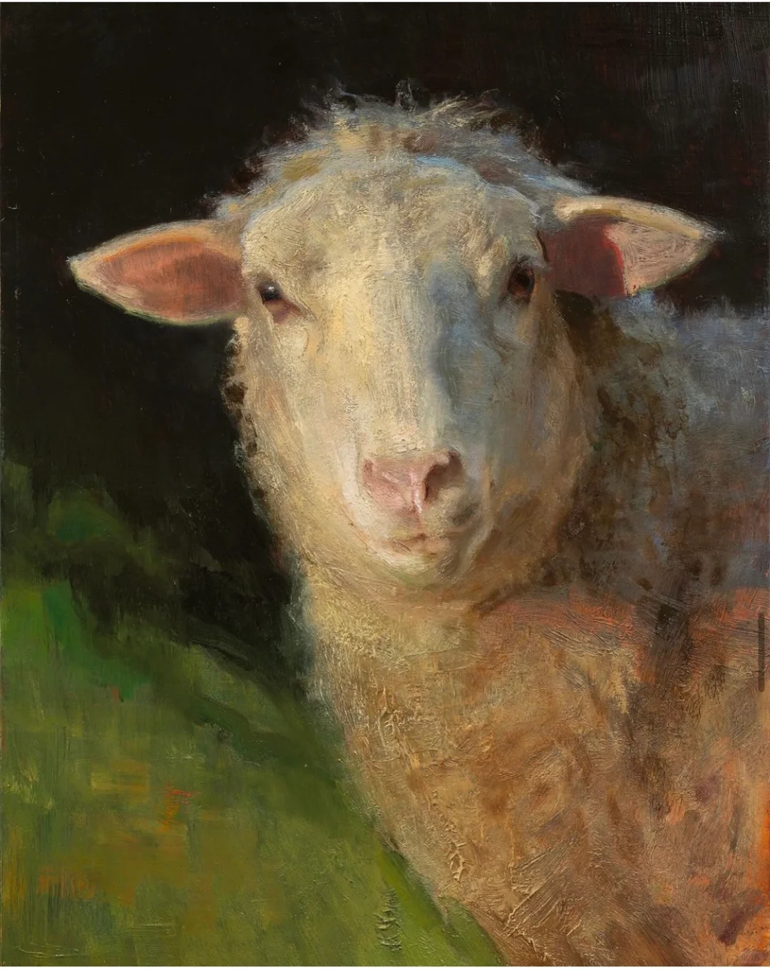 那一群悠闲自得的羊群,跟春天好搭