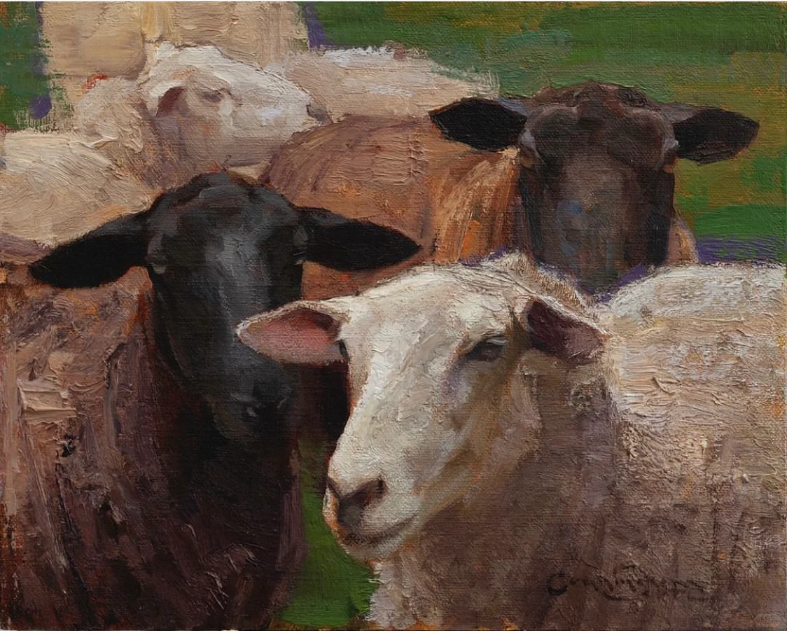 那一群悠闲自得的羊群,跟春天好搭