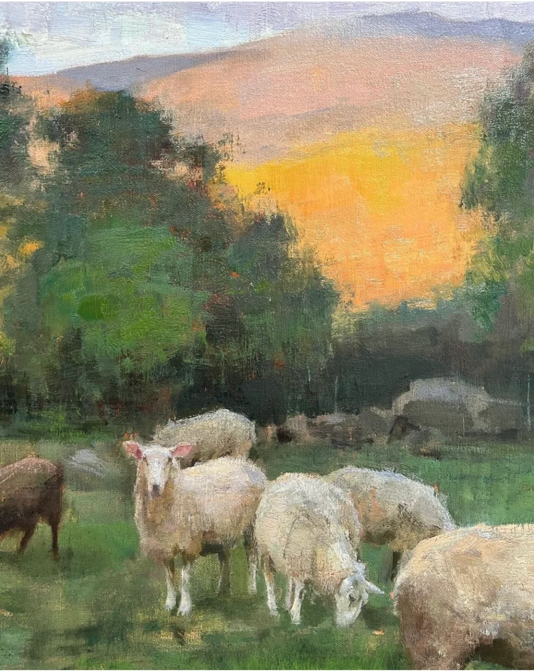 那一群悠闲自得的羊群,跟春天好搭