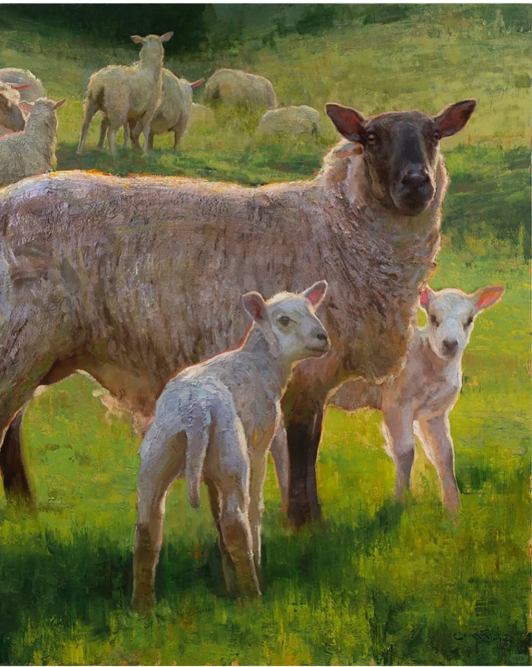 那一群悠闲自得的羊群,跟春天好搭