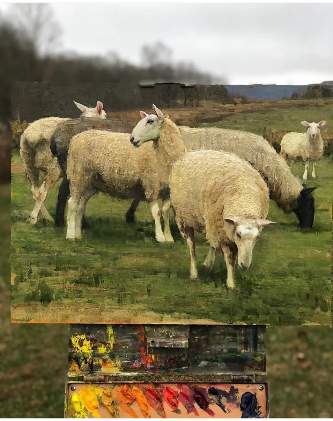 那一群悠闲自得的羊群,跟春天好搭