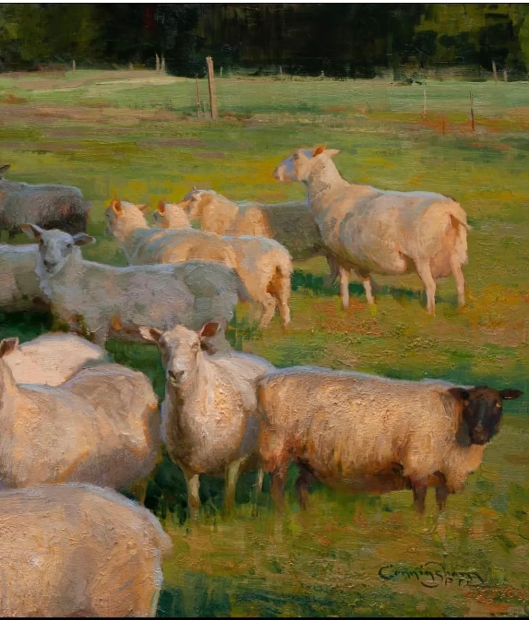 那一群悠闲自得的羊群,跟春天好搭