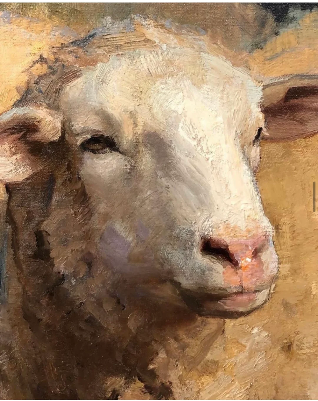 那一群悠闲自得的羊群,跟春天好搭