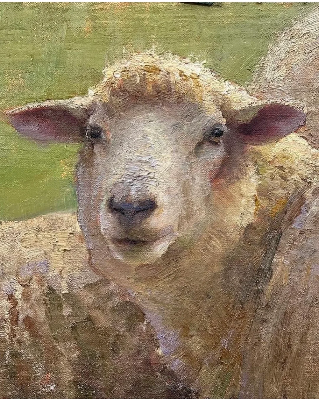 那一群悠闲自得的羊群,跟春天好搭