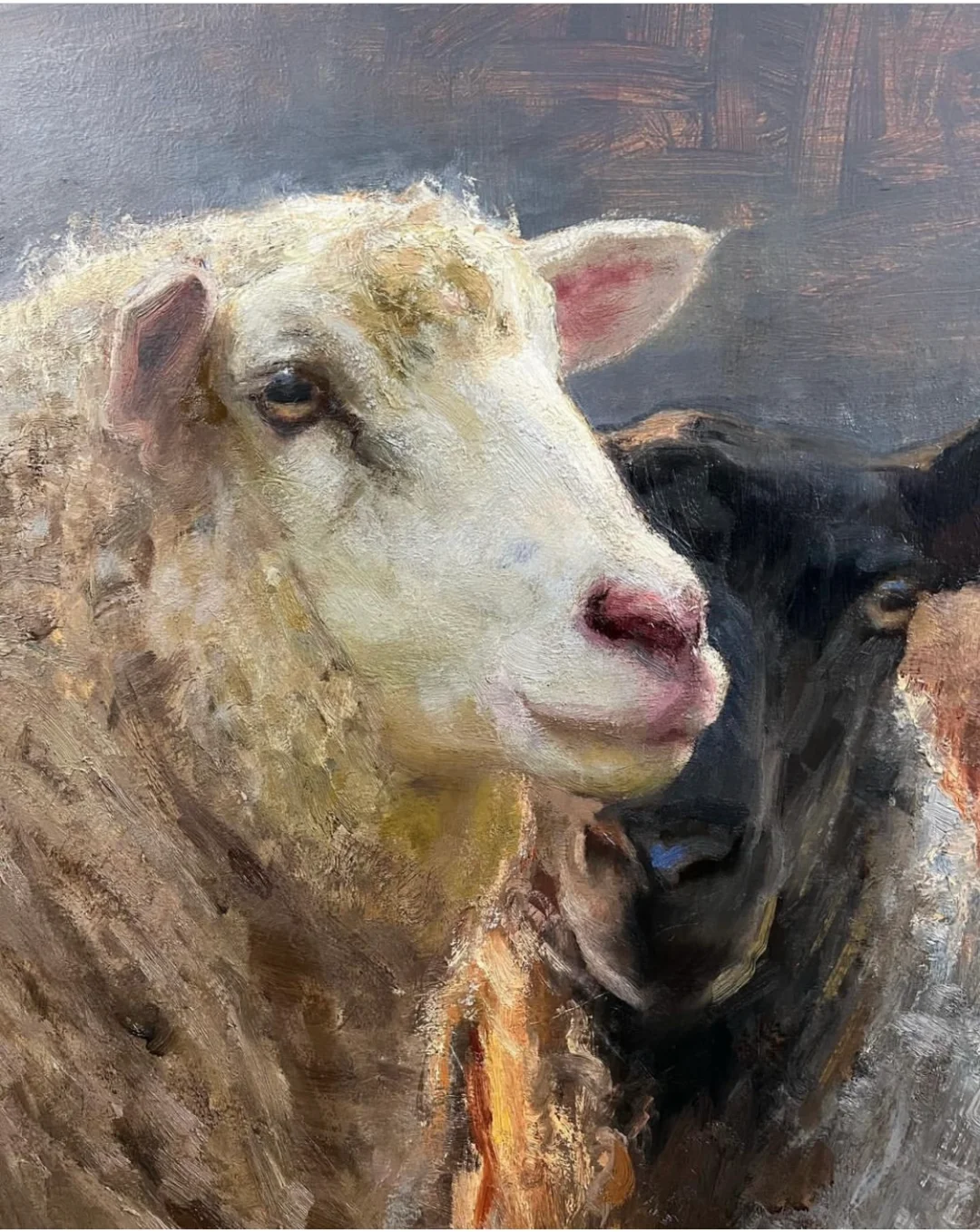 那一群悠闲自得的羊群,跟春天好搭