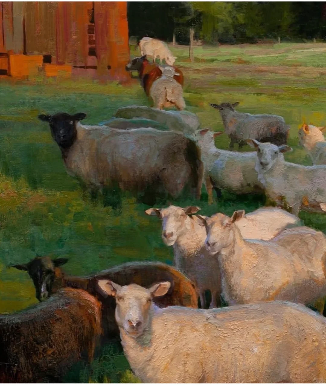 那一群悠闲自得的羊群,跟春天好搭