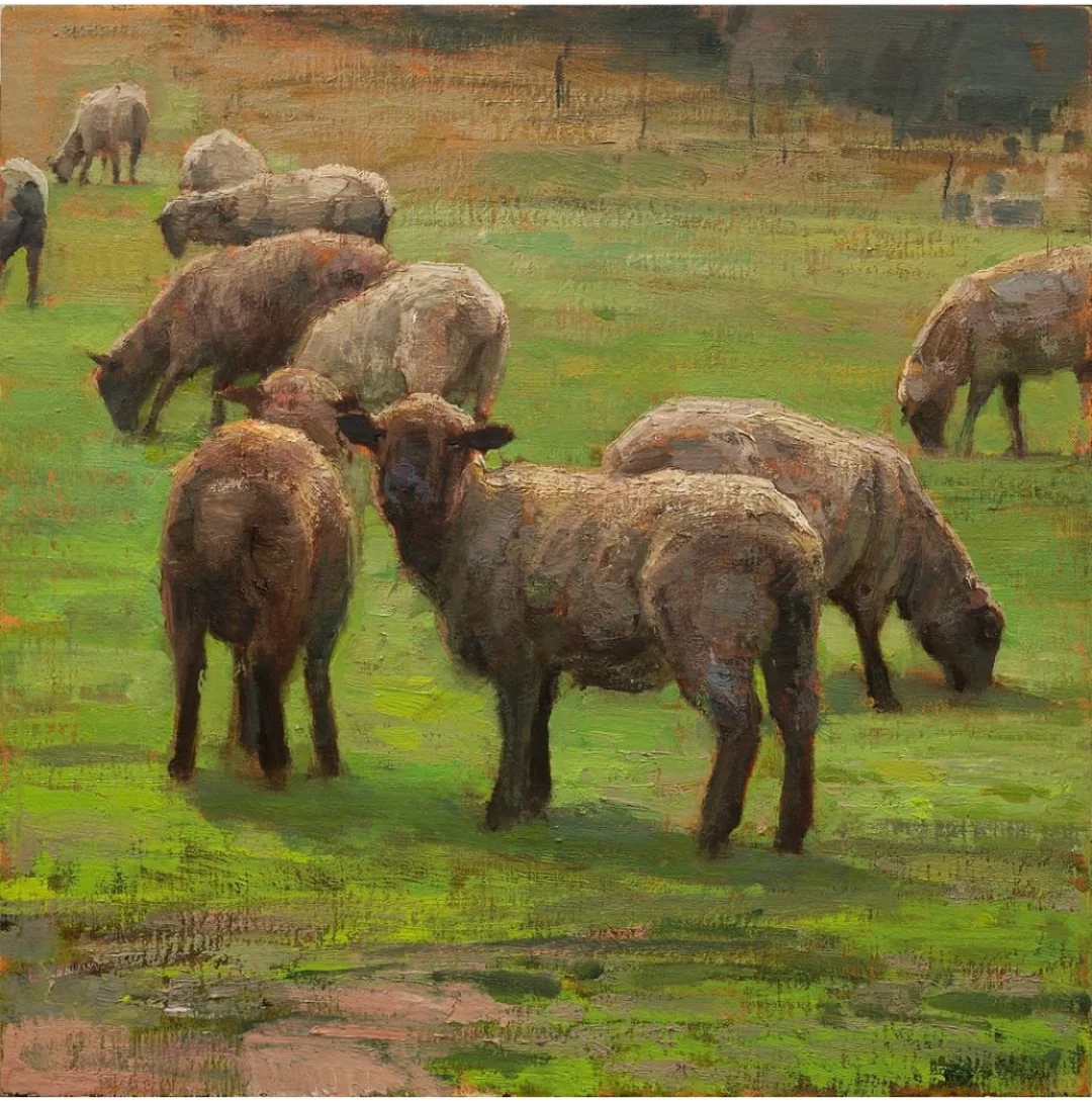 那一群悠闲自得的羊群,跟春天好搭