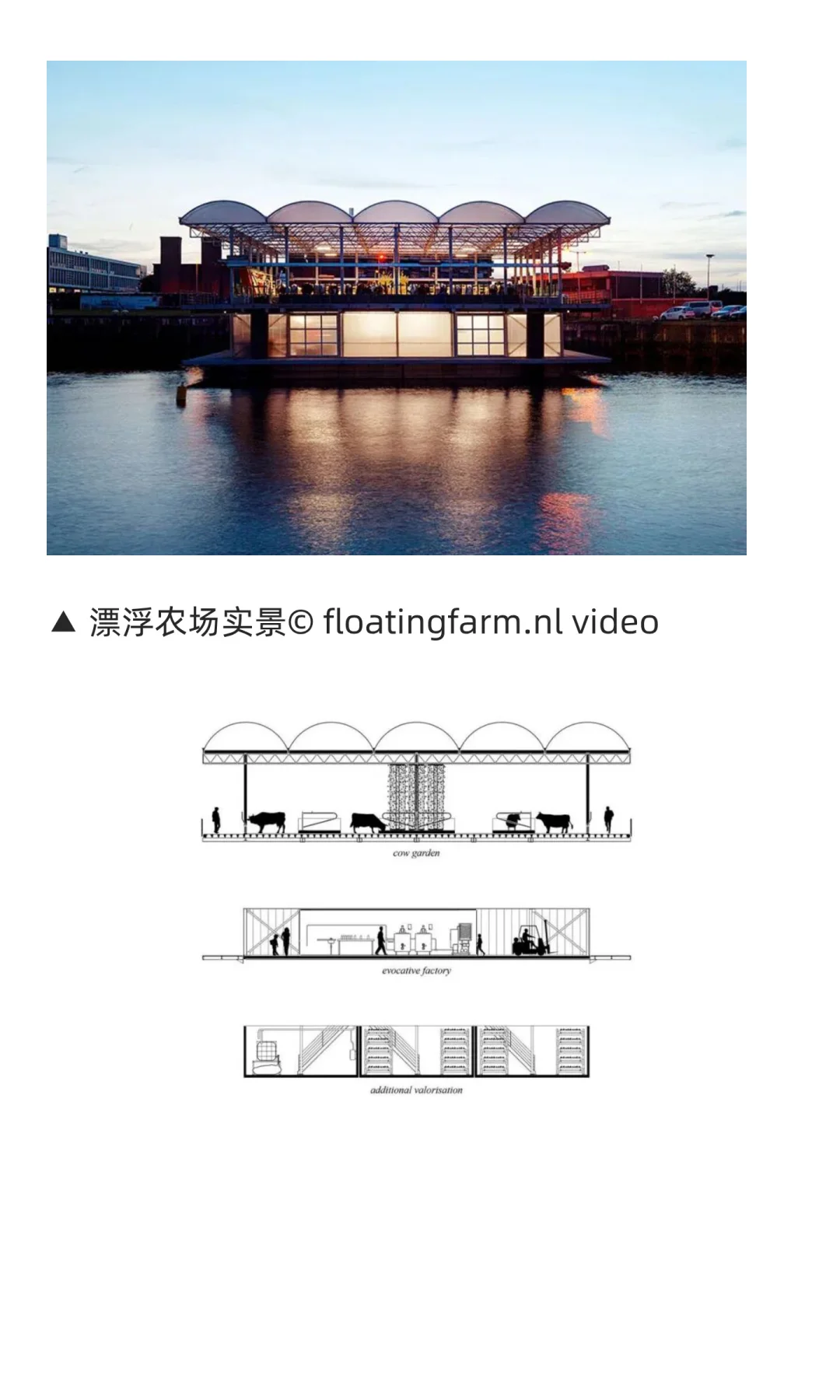 水和城市系列:漂浮农场+温室