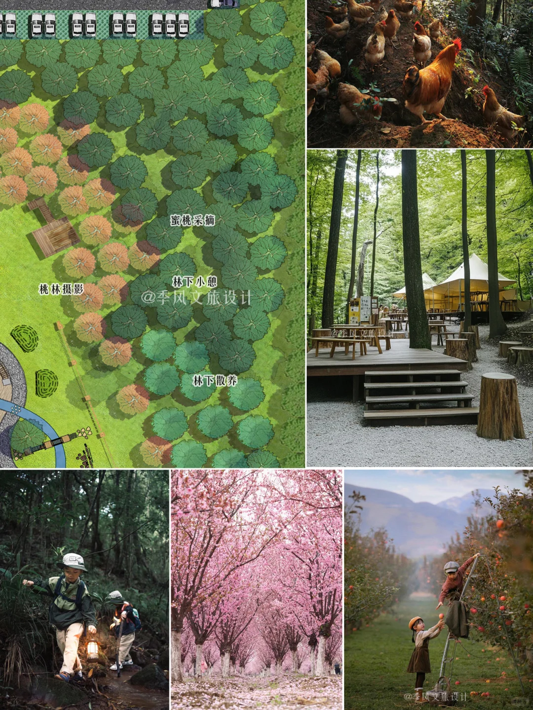 40亩轻资产农场规划|田园美学场景设计