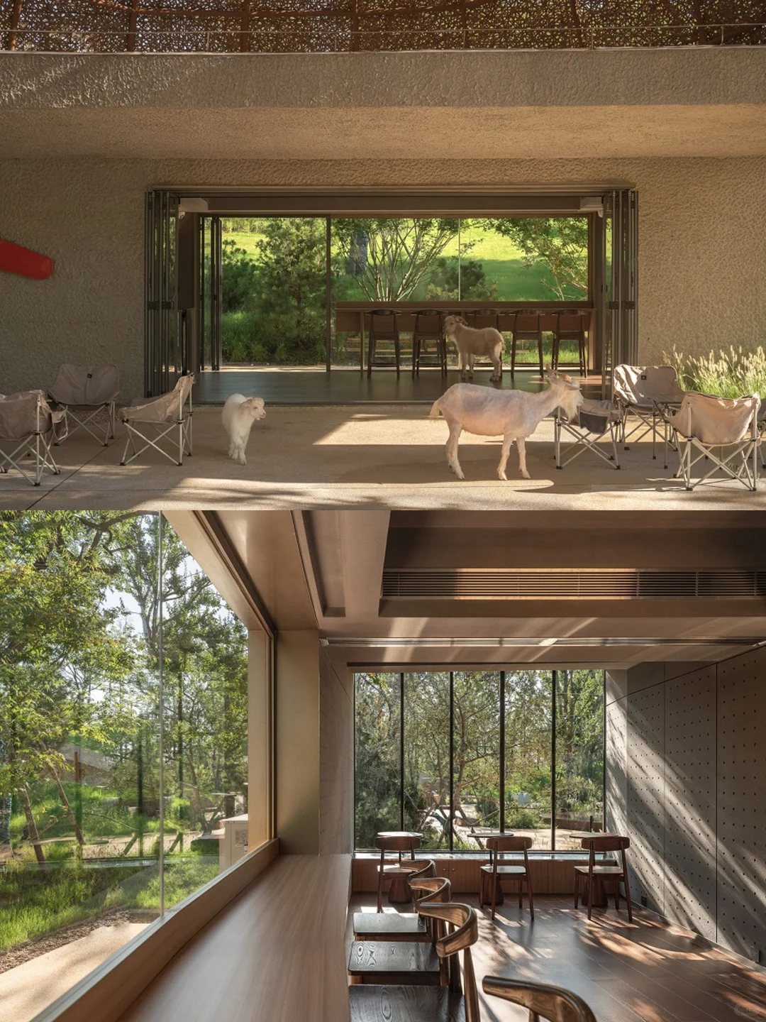 万社设计?麓客岛动物农场