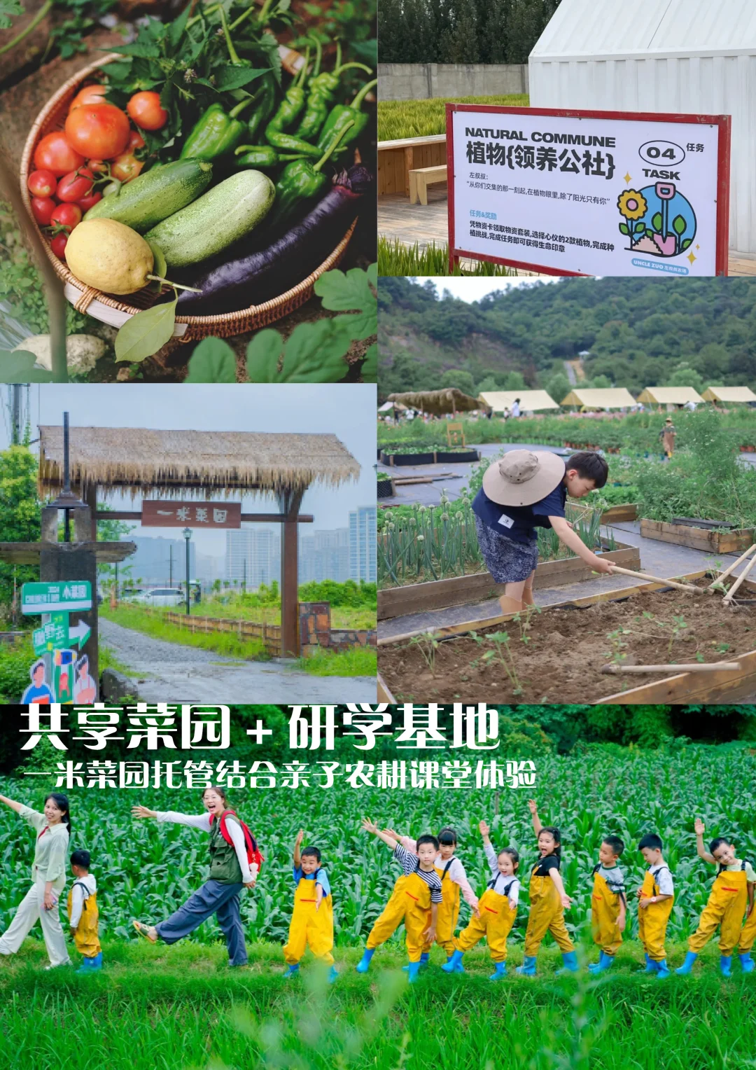 乡村微度假农场规划|共享菜园+野奢露营