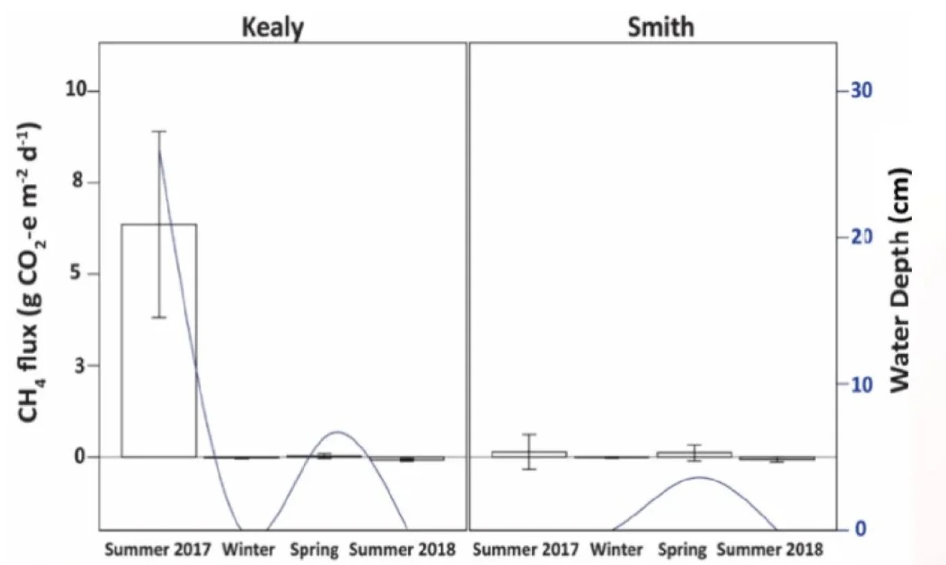 放牧如何影响湿地的“吸碳”能力?