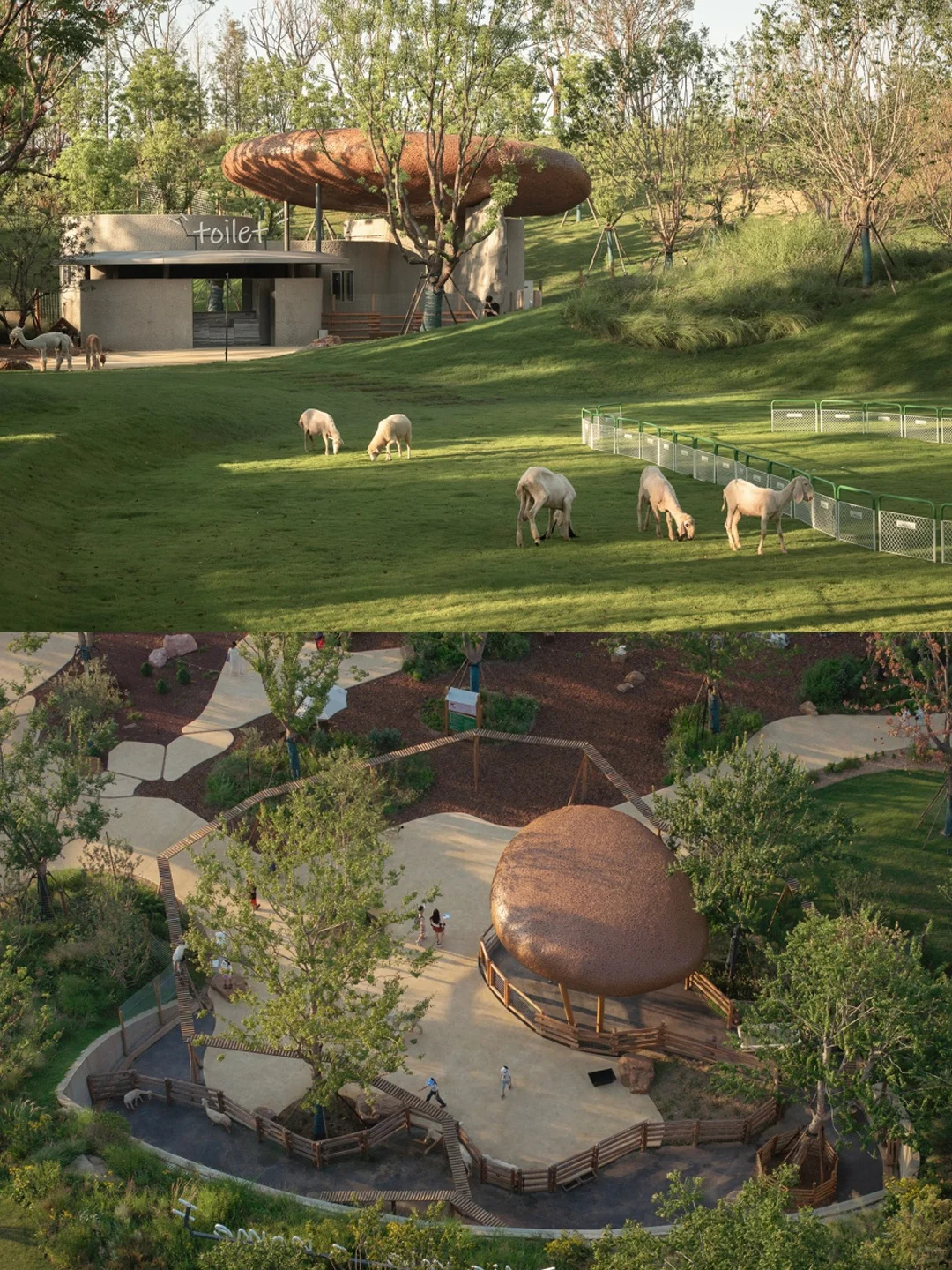 万社设计?麓客岛动物农场