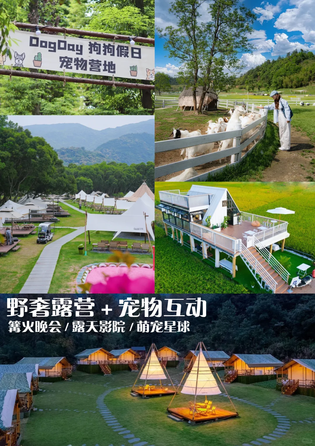 乡村微度假农场规划|共享菜园+野奢露营