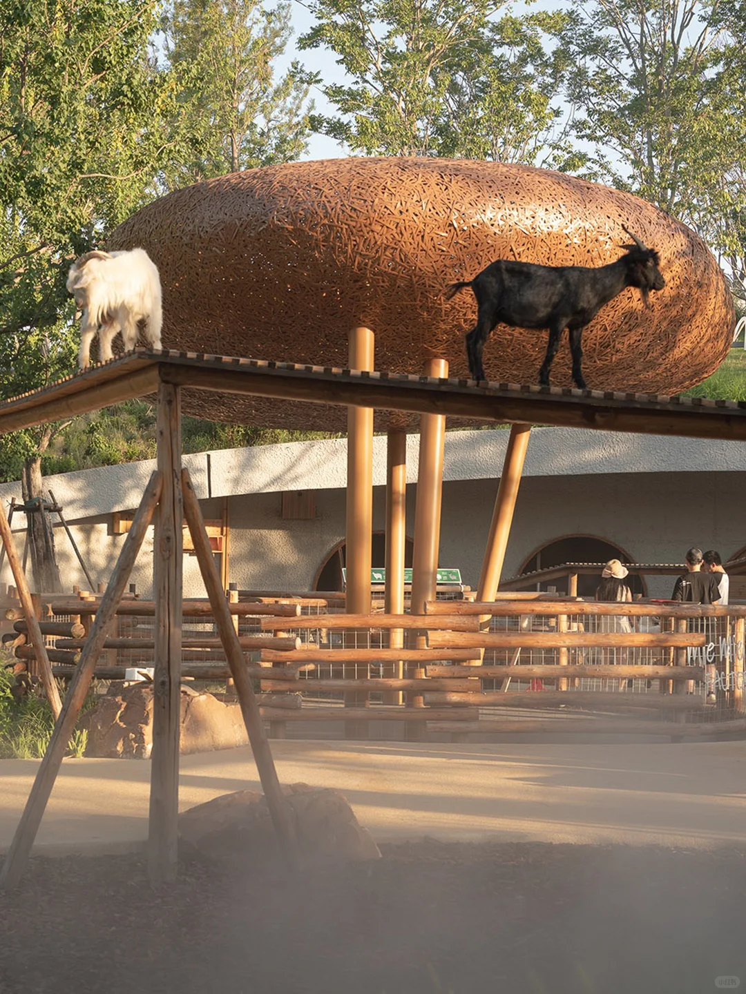 万社设计?麓客岛动物农场