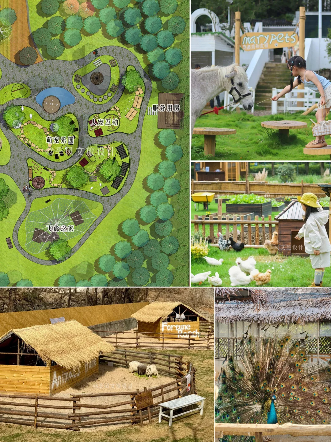 40亩轻资产农场规划|田园美学场景设计