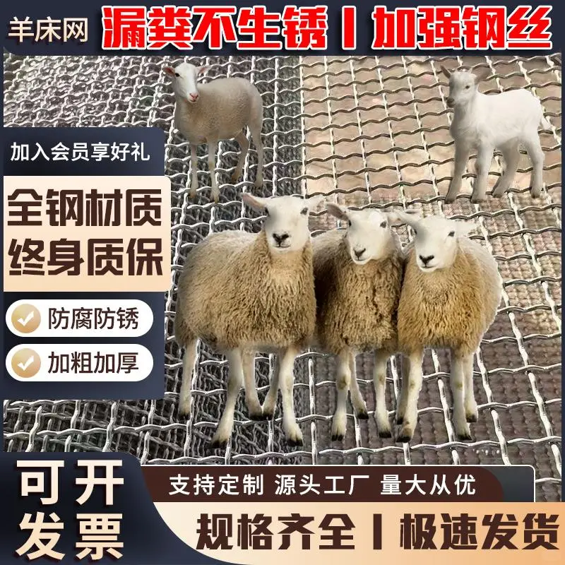 ?羊羊们的舒适新家来啦!镀锌钢丝羊床