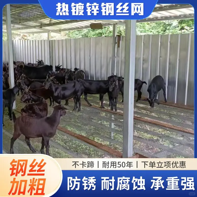 ?羊羊们的舒适新家来啦!镀锌钢丝羊床