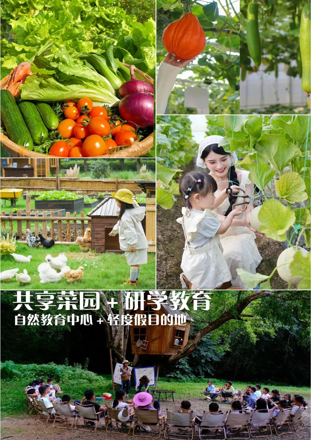 【田园牧歌?共享乐园】30亩共享菜园研学农场