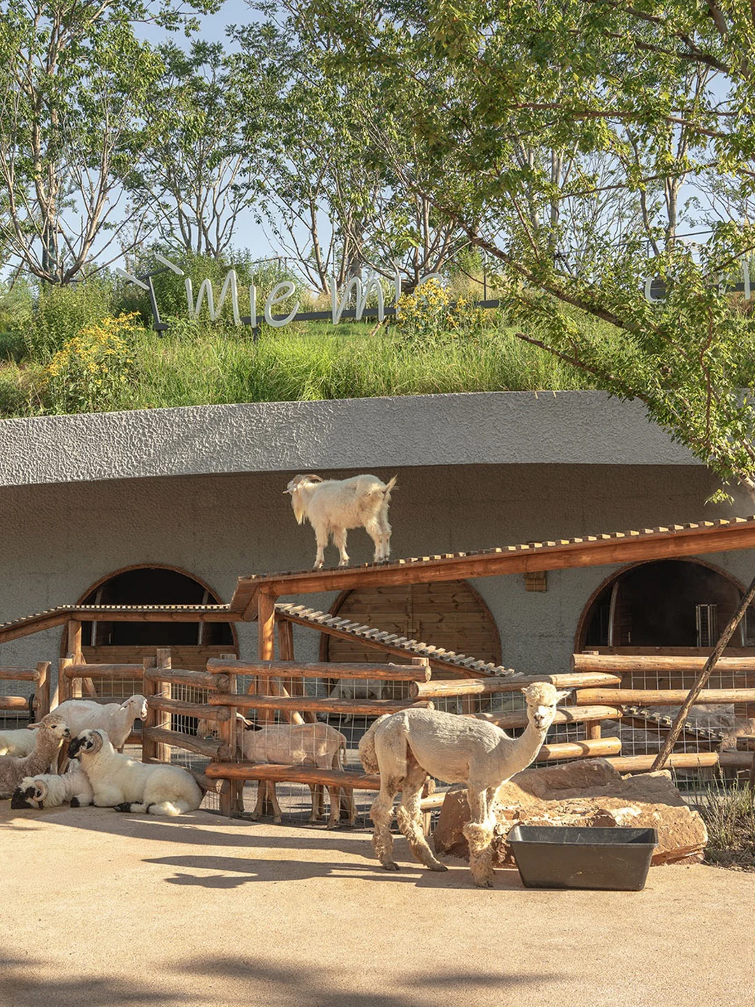万社设计?麓客岛动物农场
