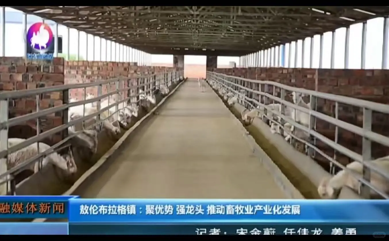 ? 绿色循环的“牧场哲学”