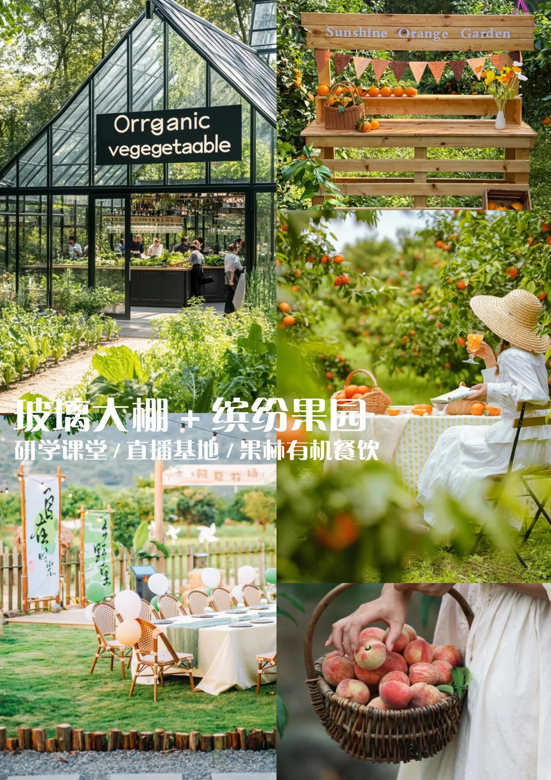 乡村微度假农场规划|共享菜园+野奢露营