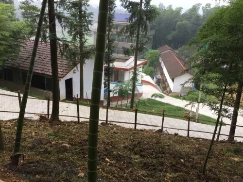 黑山羊养殖,怎样给它们创造优质的环境?