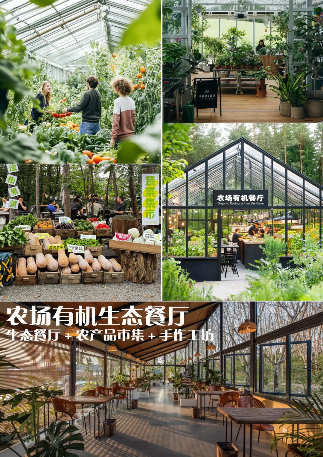 【田园牧歌?共享乐园】30亩共享菜园研学农场