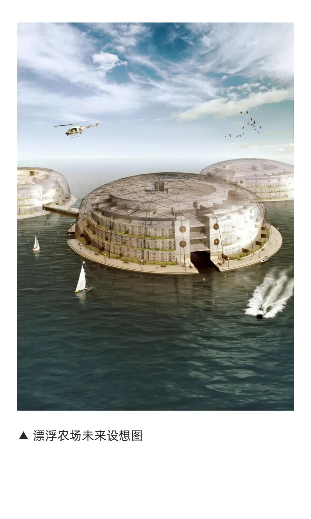 水和城市系列:漂浮农场+温室