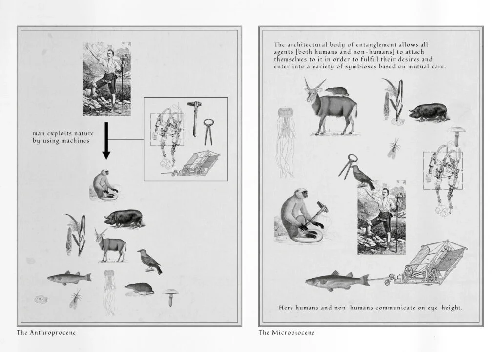 纠缠的农业 Agriculture of Entanglement