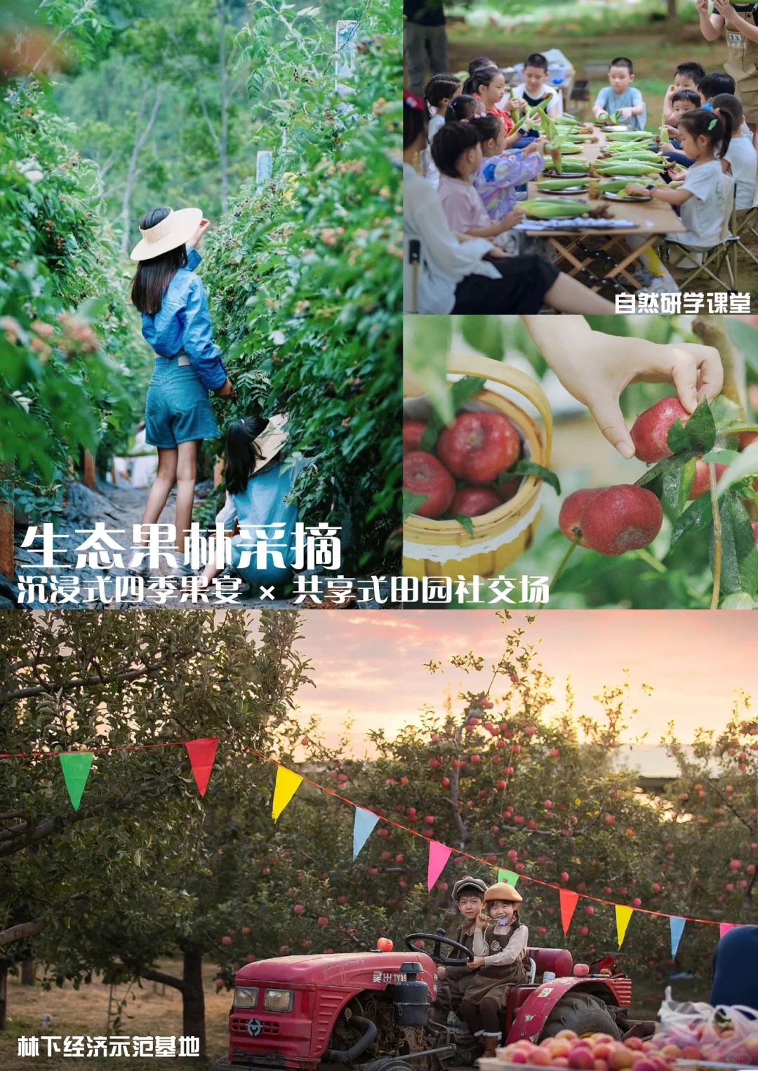 【田园牧歌?共享乐园】30亩共享菜园研学农场