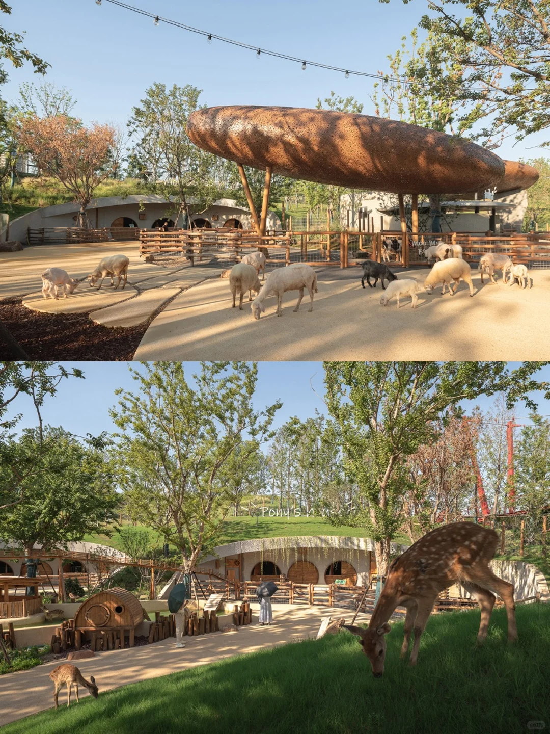 万社设计?麓客岛动物农场