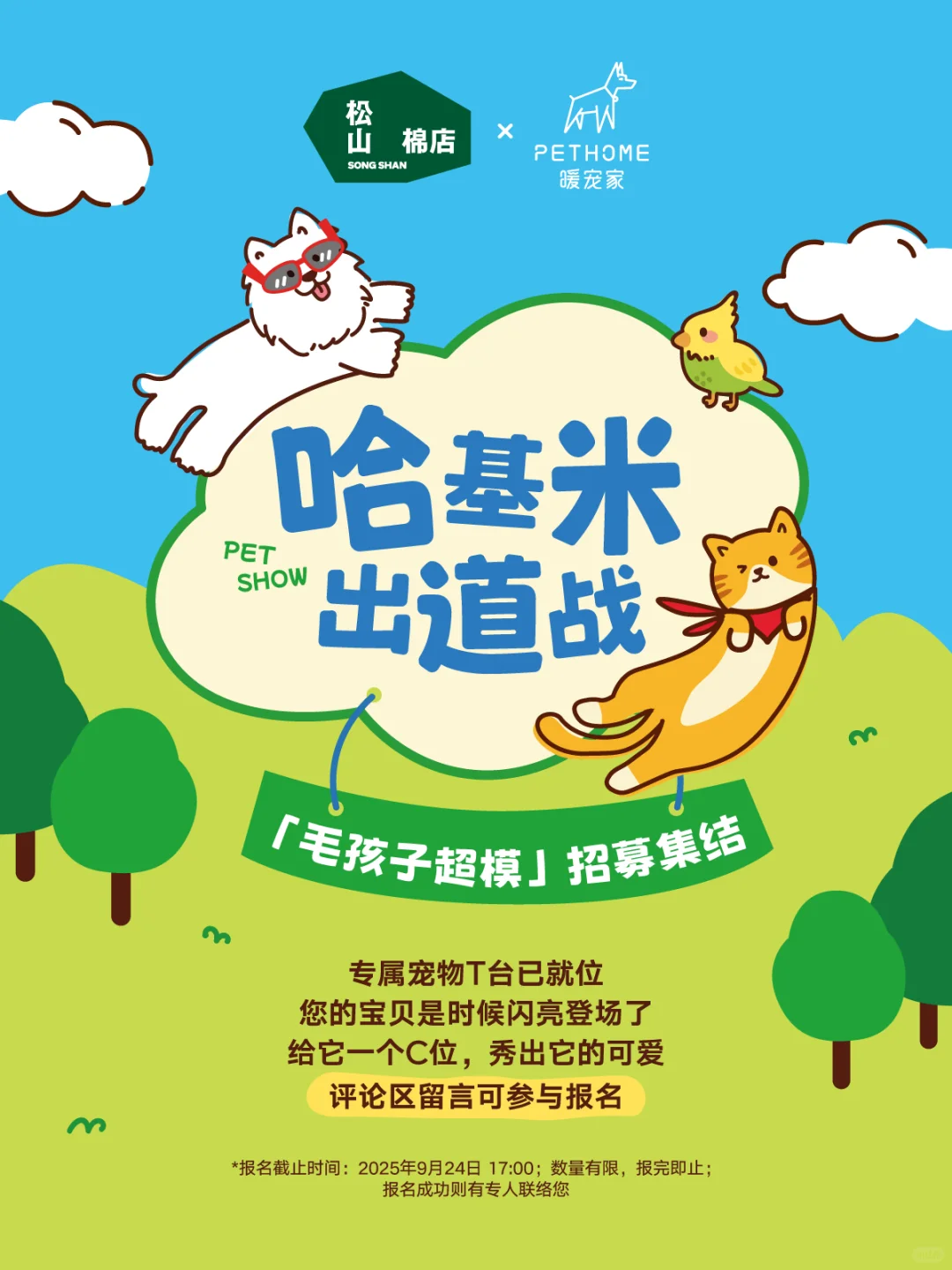 哈基米出道战招募?!毛孩子超模集结