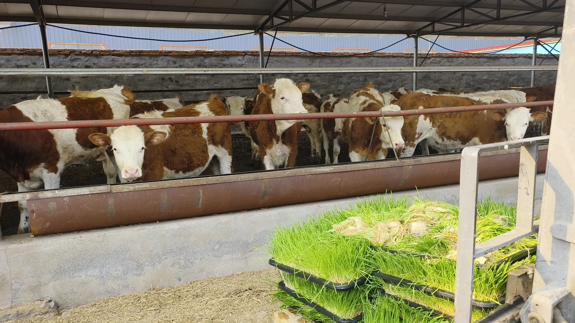 ˮ vs ͳһԴЧʵĽά