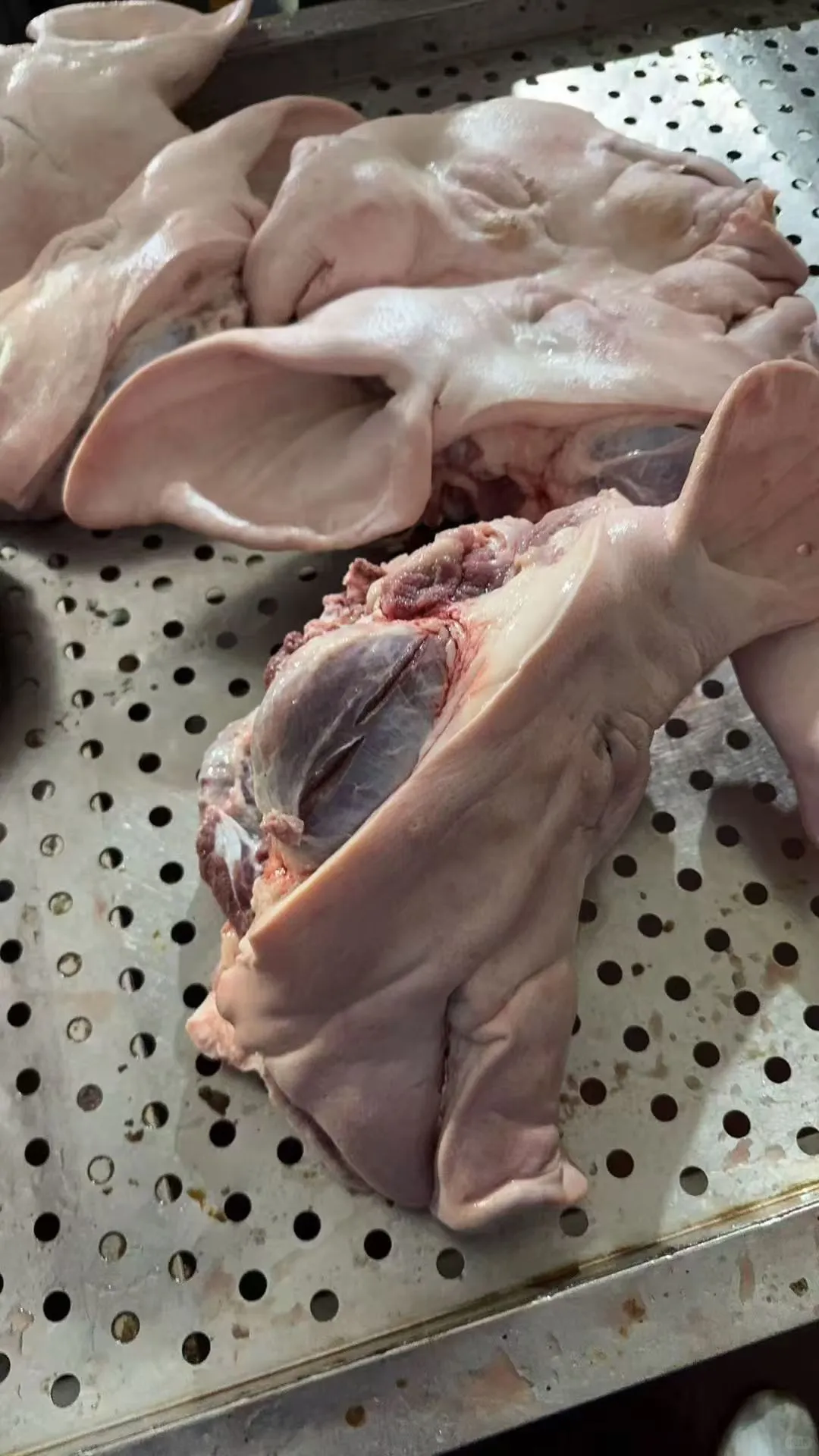 11��4����������