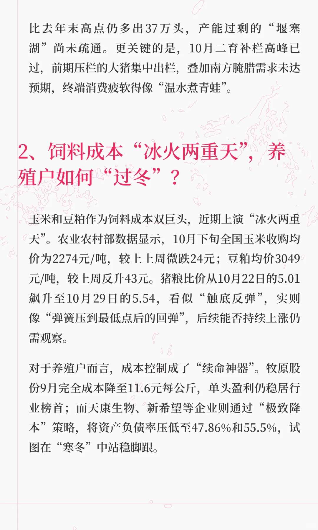 ���۵��������ۡ��ܷ���������������2025