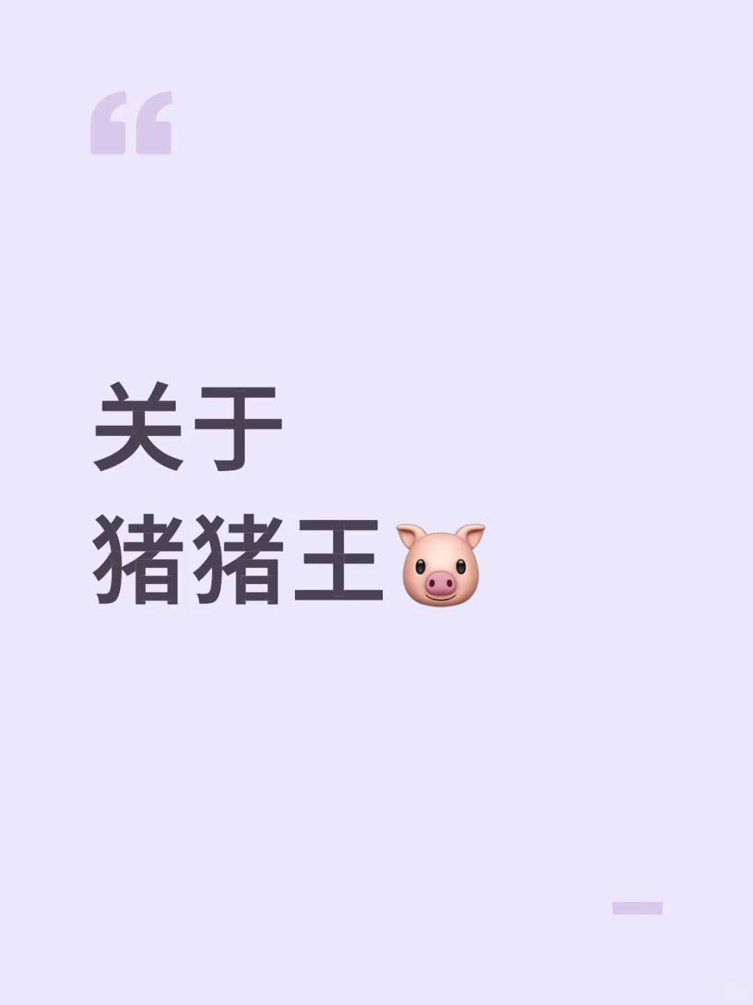 关于猪猪王
