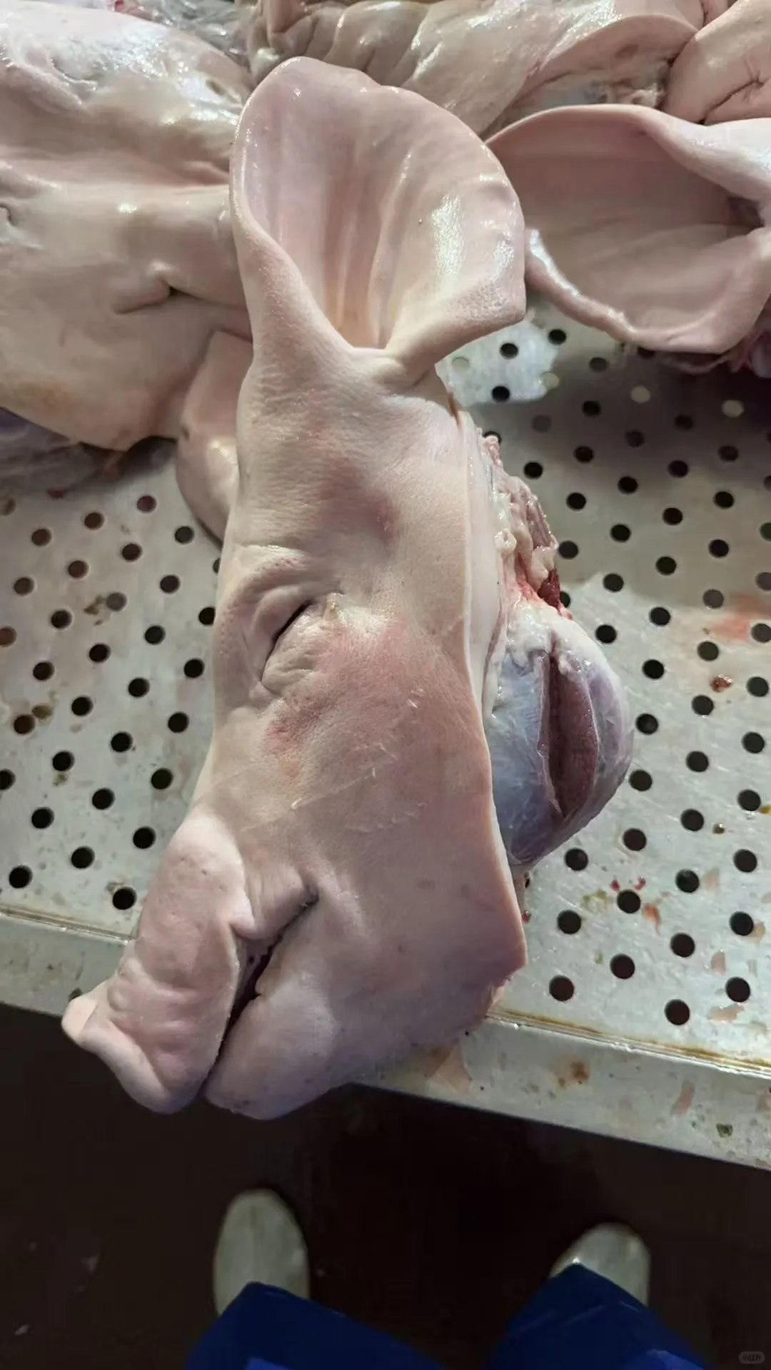 11��4����������