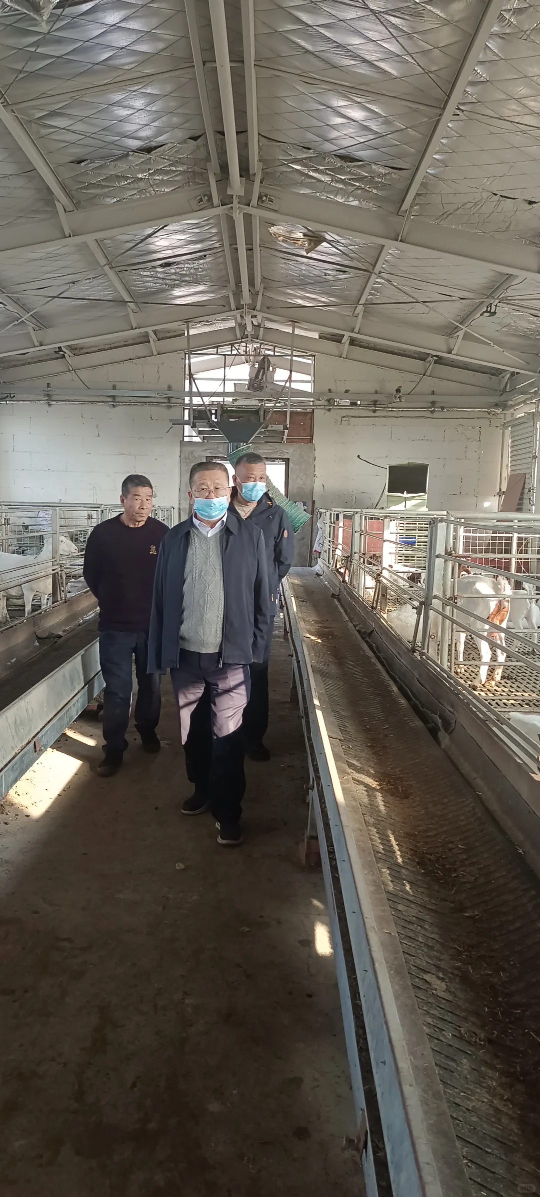 河南省养羊行业协会一行调研济源市下冶镇逢