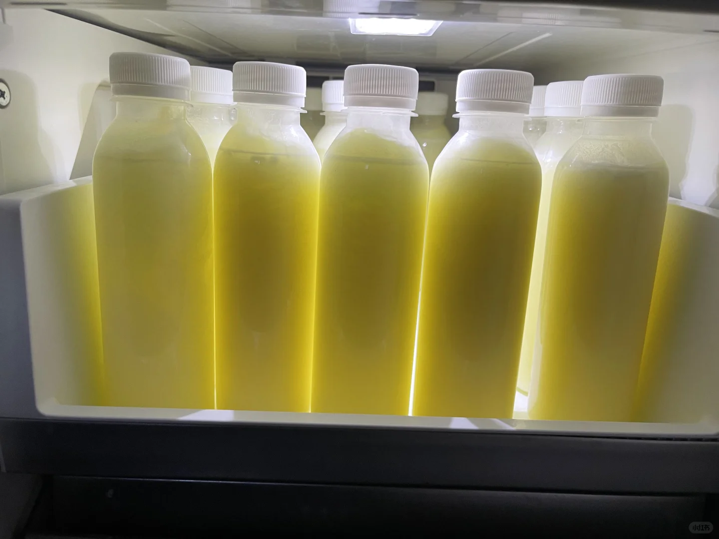 喜欢喝没有添加鲜羊奶的看过来