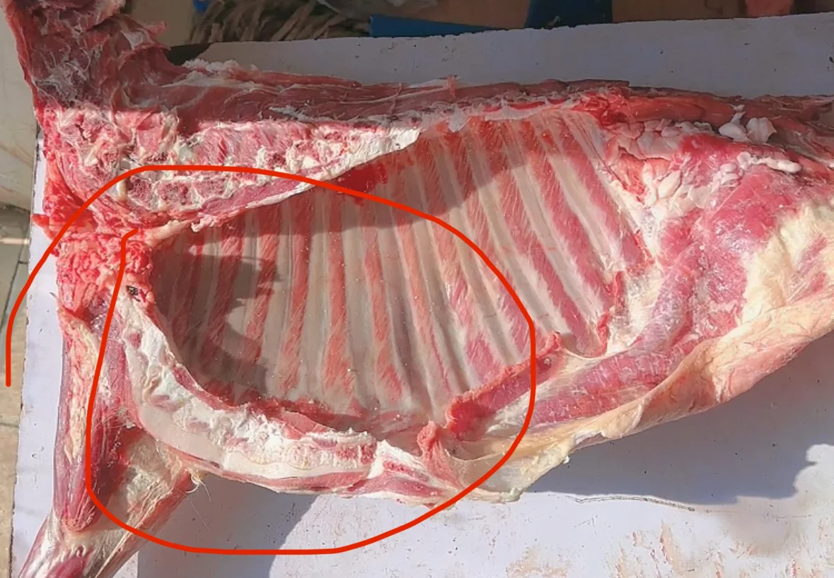 为什么羊排都相对较肥?揭秘羊排脂肪的秘密!