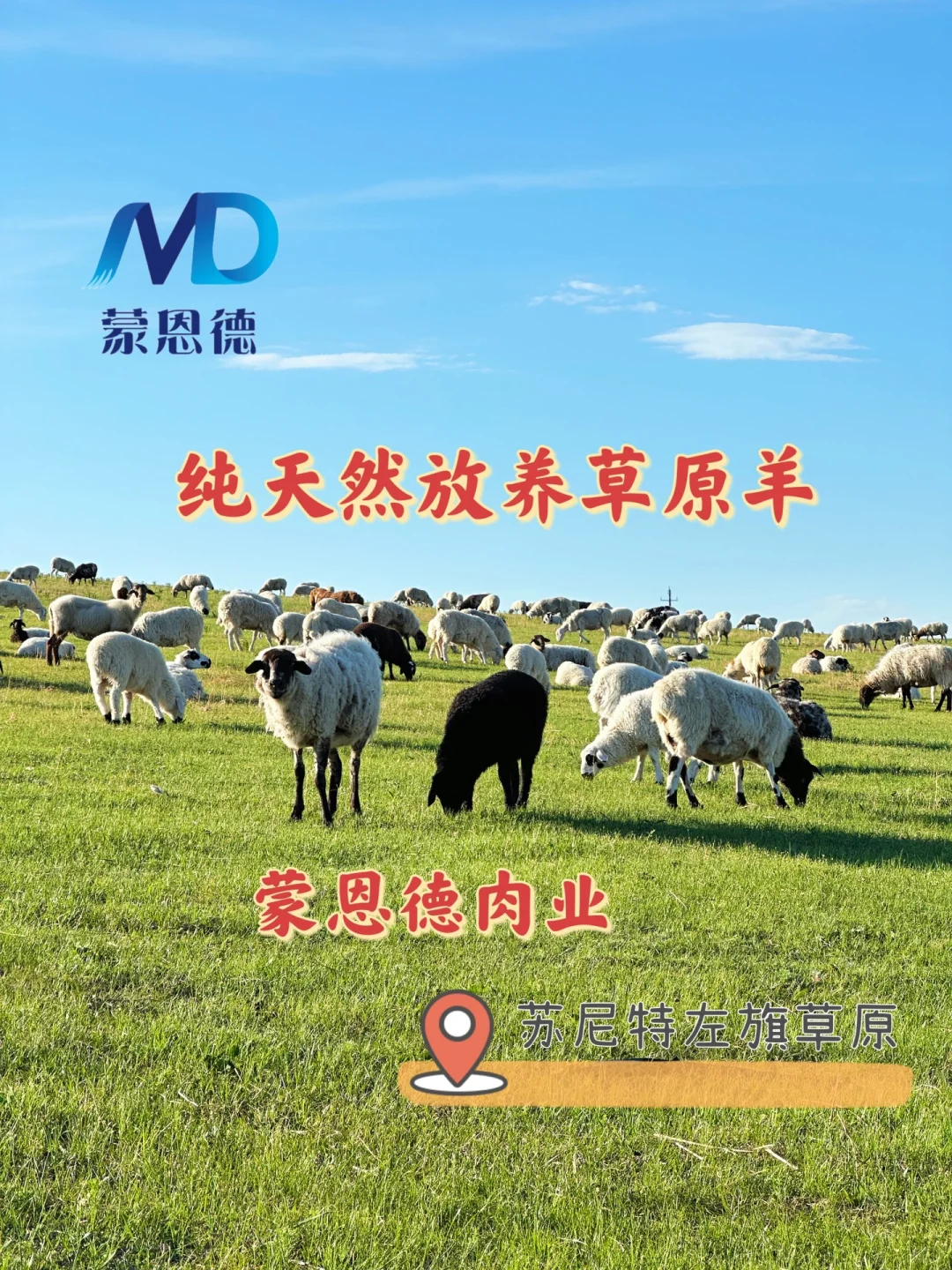 锡盟牛羊肉、苏尼特牛羊肉、欢迎批发合作