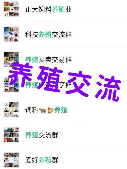 养殖人集合!畜牧饲料行业内部群资源公开!