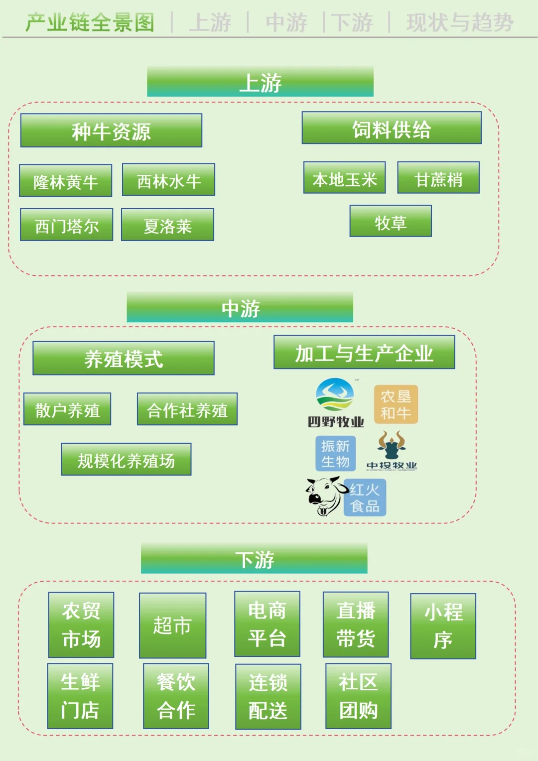 每天吃透一条广西产业链丨肉牛养殖?