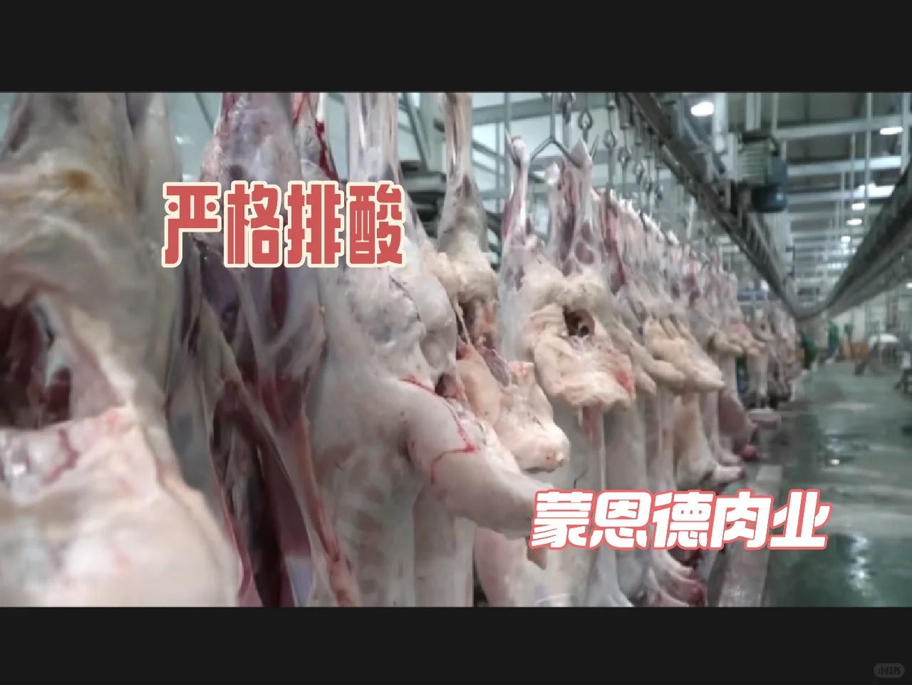 锡盟牛羊肉、苏尼特牛羊肉、欢迎批发合作