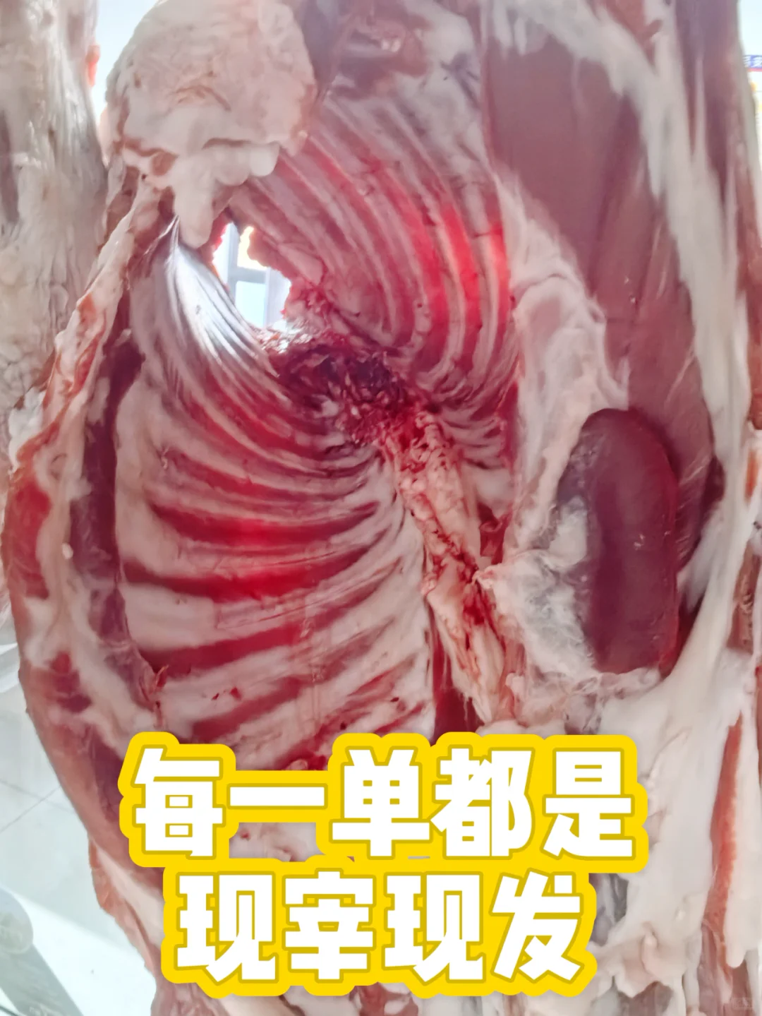 ᣿ͨ˳ԵԭţĸʼΪ0%