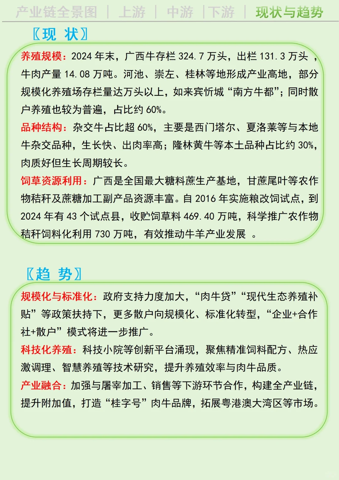 每天吃透一条广西产业链丨肉牛养殖?
