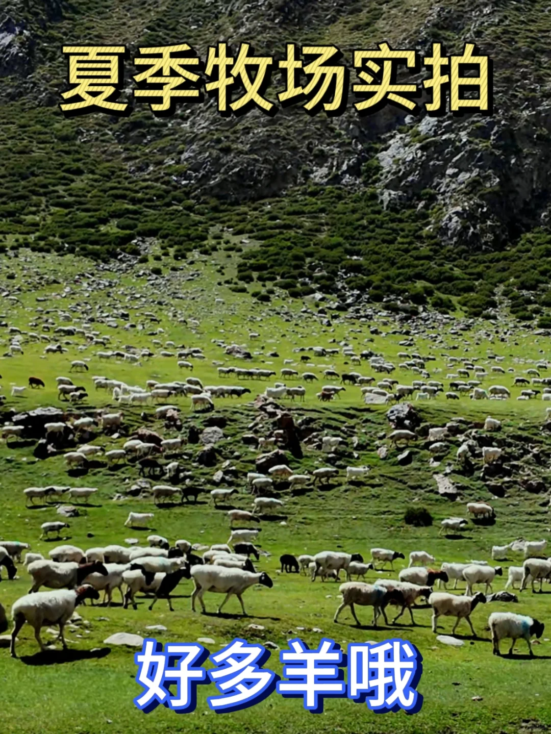 ᣿ͨ˳ԵԭţĸʼΪ0%