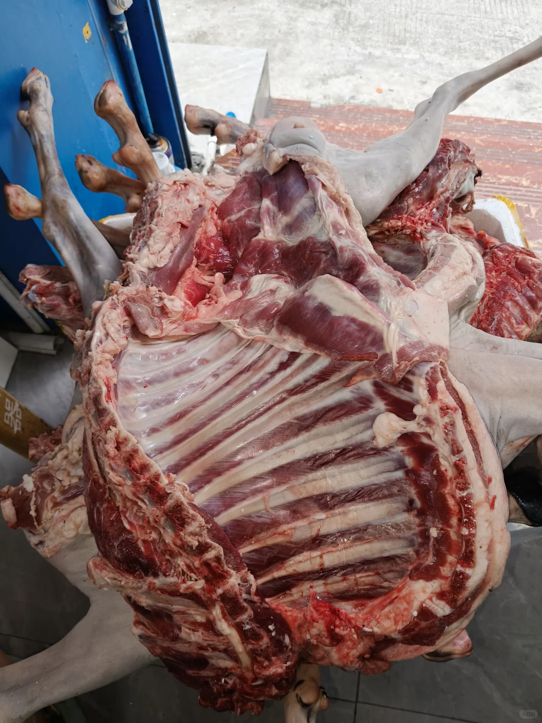 南雄散养黑山羊(广州档口周边送货)